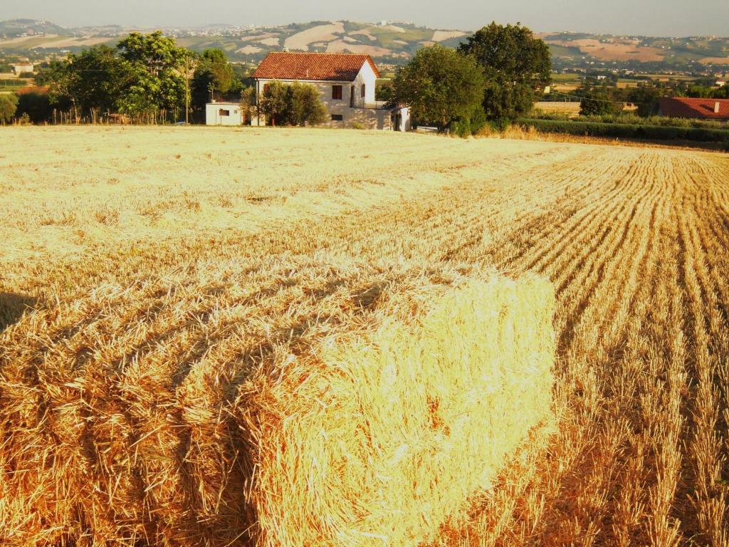 Вілла Agriturismo Ponterosa Morrovalle Екстер'єр фото